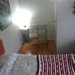 Hostal Nativo